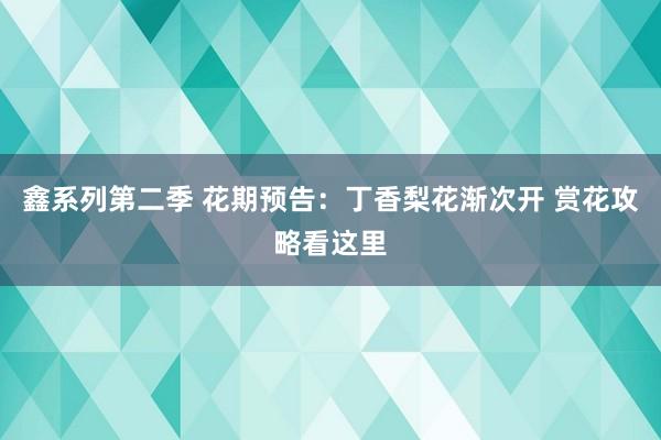 鑫系列第二季 花期预告：丁香梨花渐次开 赏花攻略看这里